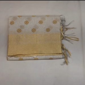 Linen Tissue Saree