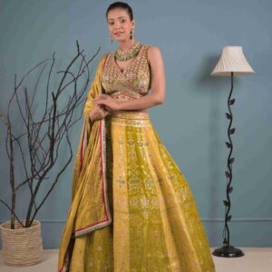 Mehendi Green Lehenga Choli with Multi-Thread, Stones Work